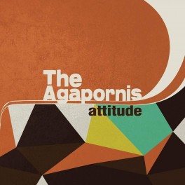 THE AGAPORNIS: Attitude